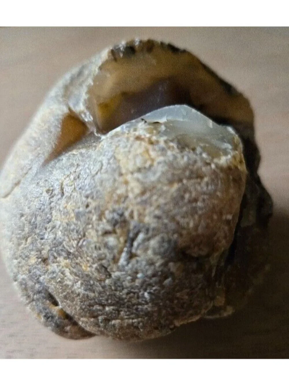 The Unbranded Brand montana agate